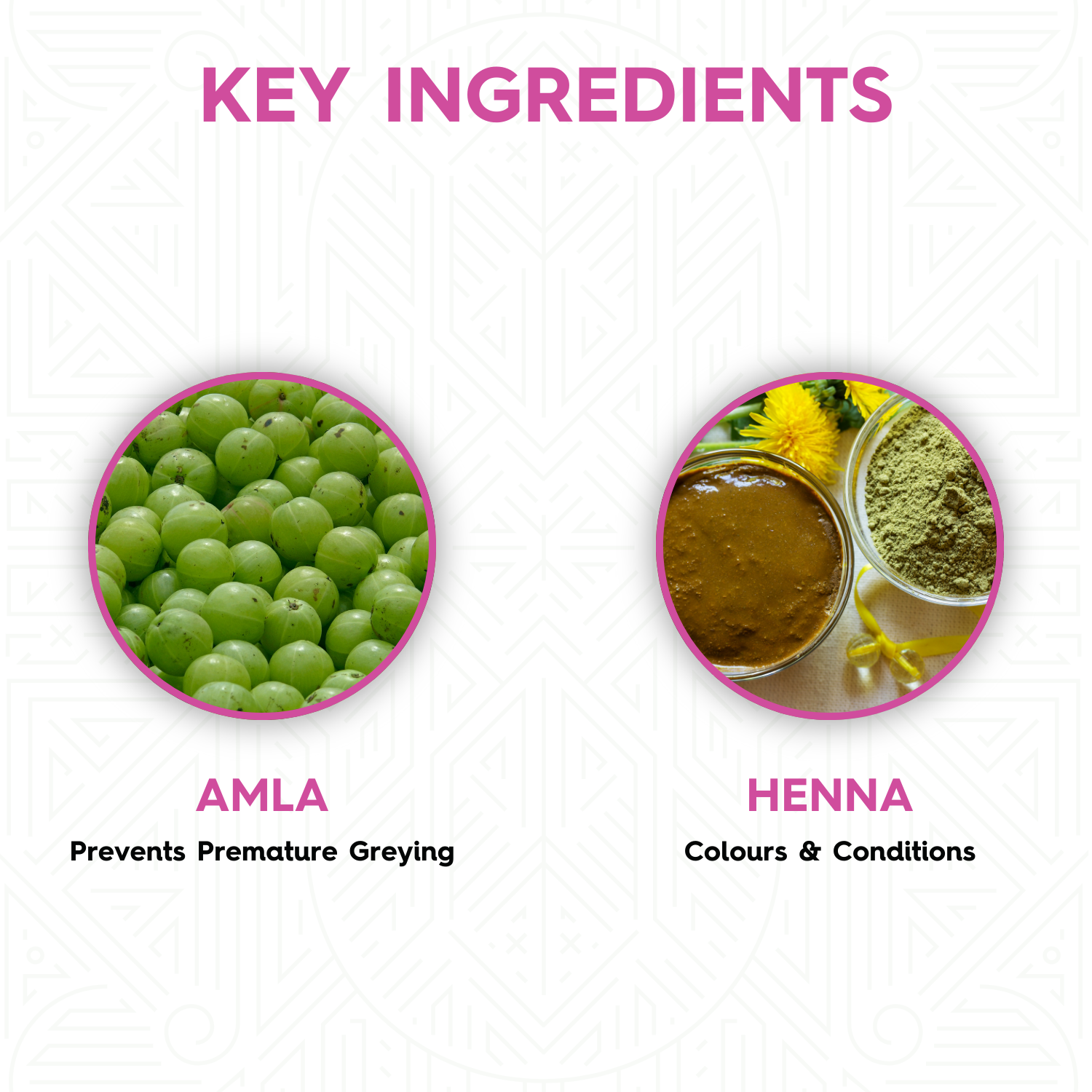 Megha Henna-Based Hair Color (Natural Black) - 5 x 45g + Rachni Herbal Henna Powder – 5 x 25g | Nourishing Combo for Long-Lasting Natural Color & Healthy Hair