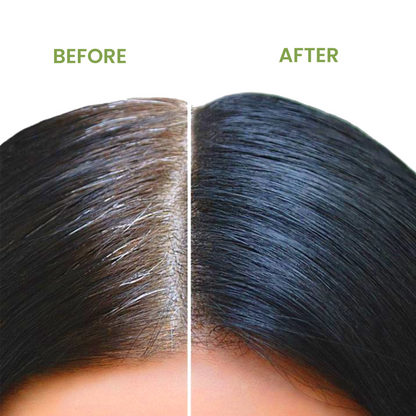 Sugandha Royal | Khadi Herbal Mehndi | Natural Black Hair Colour with Conditioning Herbs & Original Chandan | 80g (4x20g)