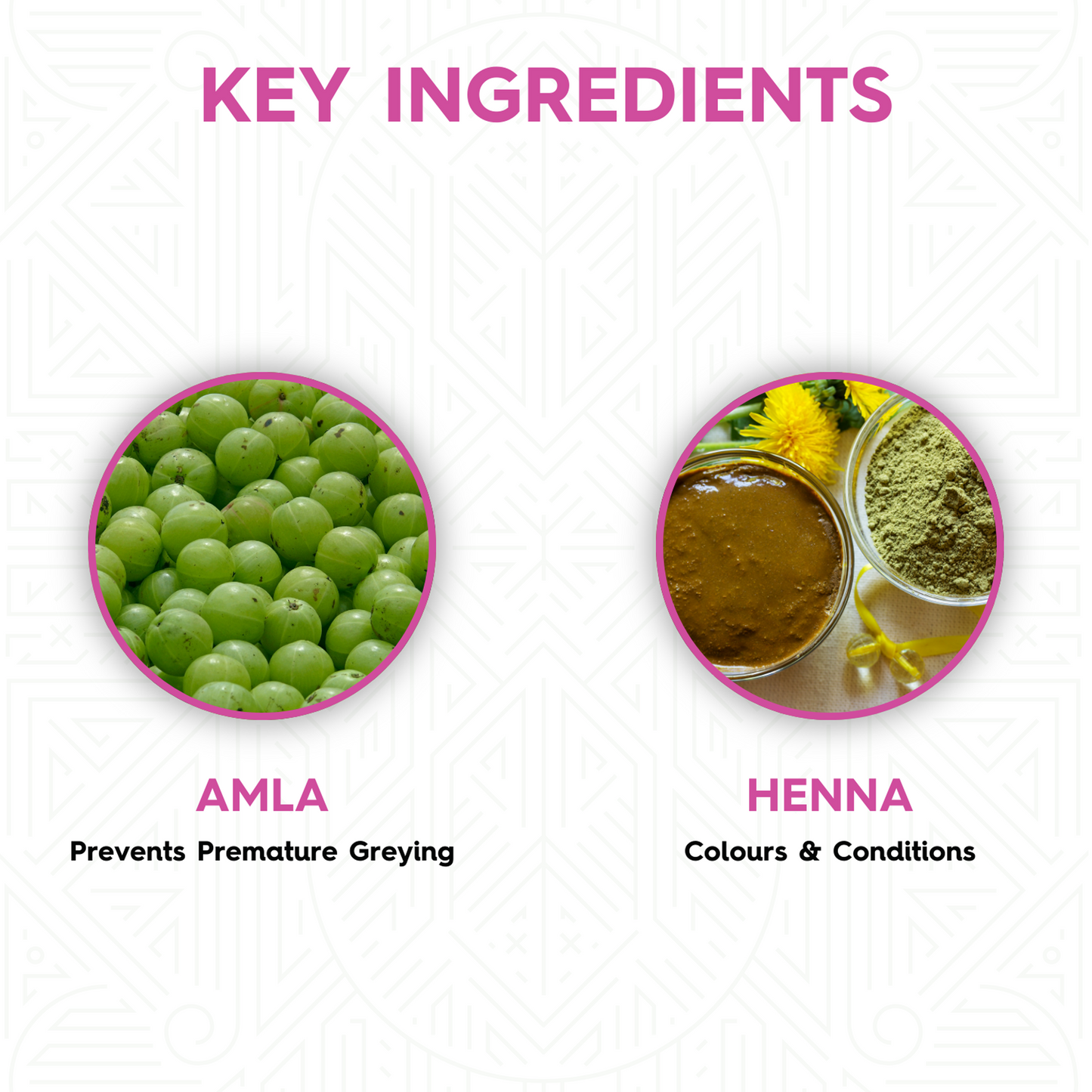 Megha Henna Based Hair Color - Natural Burgundy | With Organically Grown Henna & Amla (45g)